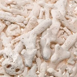 Ferplast BLUCALCIUM Schwämme Und Filtermaterialien