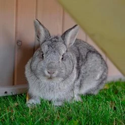 Ferplast RANCH Alle Anzeigen 22 Ferplast RANCH Alle Anzeigen