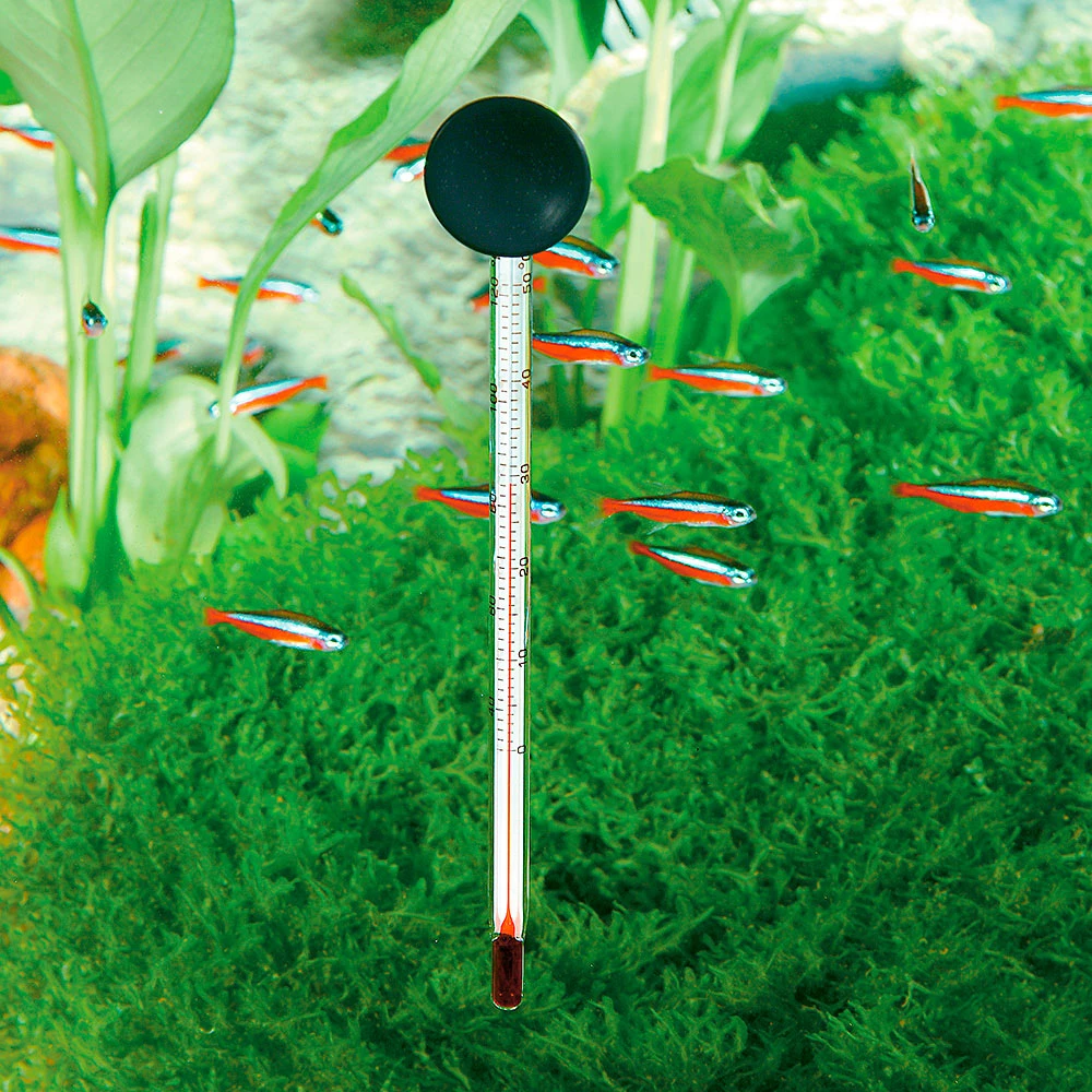 Ferplast BLU 6811 4 Ferplast BLU 6811