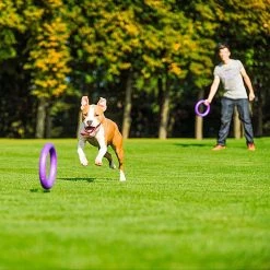 Ferplast PULLER STANDARD