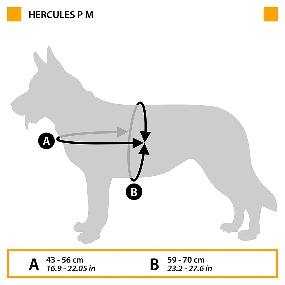 Ferplast HERCULES P M 4 Ferplast HERCULES P M