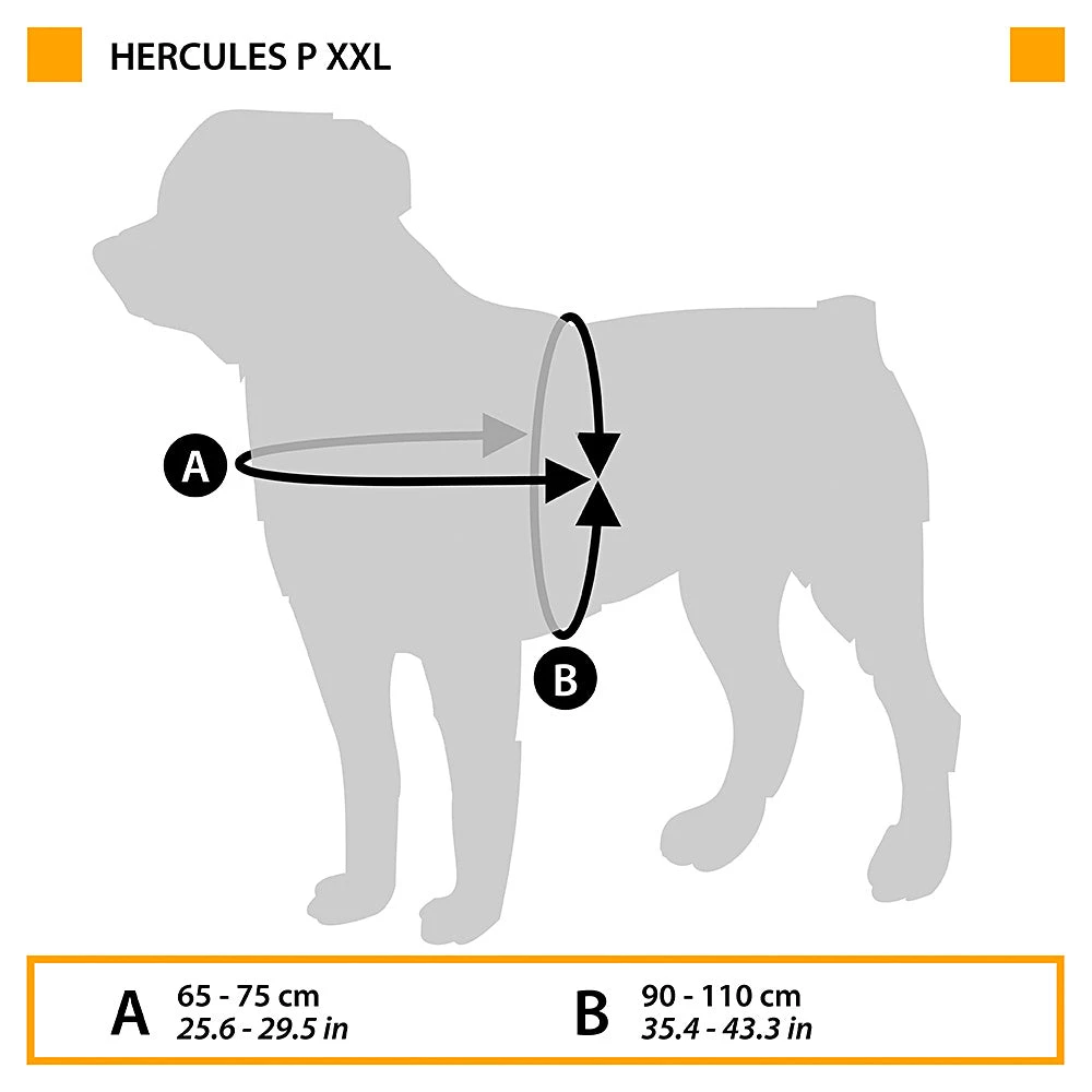 Ferplast HERCULES P XXL Alle Anzeigen 4 Ferplast HERCULES P XXL Alle Anzeigen