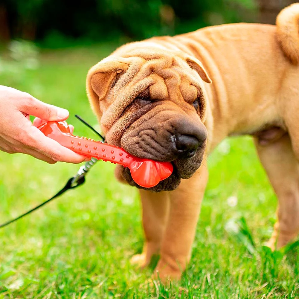 Ferplast Spielzeug PA 6482 6 Ferplast Spielzeug PA 6482