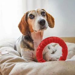 Ferplast SMILE Alle Anzeigen 46 Ferplast SMILE Alle Anzeigen