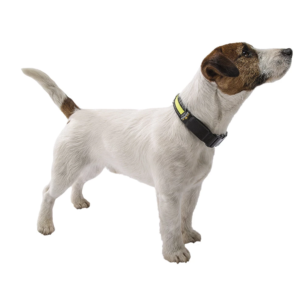 Ferplast NIGHT C 5 Ferplast NIGHT C