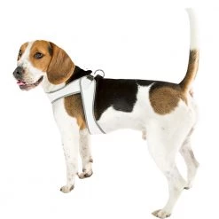 Ferplast AGILA 1-3 Alle Anzeigen 20 Ferplast AGILA 1-3 Alle Anzeigen