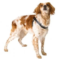 Ferplast Alle Anzeigen AGILA 6-9 32 Ferplast Alle Anzeigen AGILA 6-9