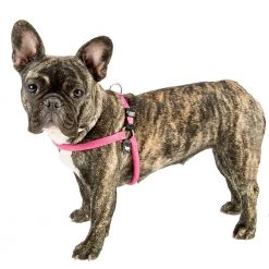 Ferplast AGILA SPORT Alle Anzeigen 22 Ferplast AGILA SPORT Alle Anzeigen