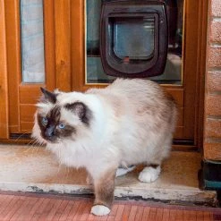 Ferplast Alle Anzeigen SWING MICROCHIP 21 Ferplast Alle Anzeigen SWING MICROCHIP