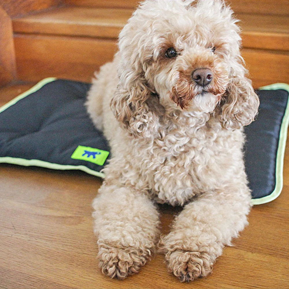 Ferplast Alle Anzeigen JOLLY 8 Ferplast Alle Anzeigen JOLLY