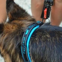 Ferplast SPORT DOG C