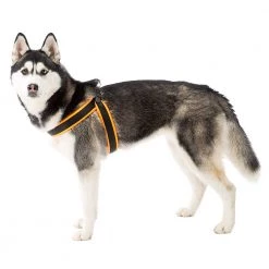 Ferplast AGILA FLUO 3-9