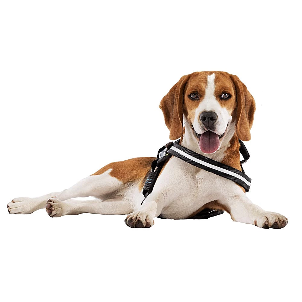 Ferplast HERCULES P M 5 Ferplast HERCULES P M