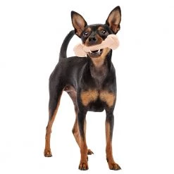 Ferplast Alle Anzeigen GOODBITE NATURAL HAM BONE