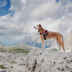 Ferplast HERCULES P M 44 Ferplast HERCULES P M