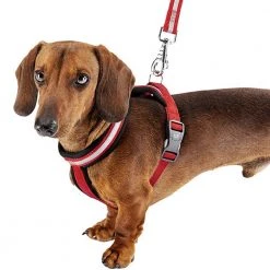 Ferplast DAYTONA P CROSS Alle Anzeigen 65 Ferplast DAYTONA P CROSS Alle Anzeigen