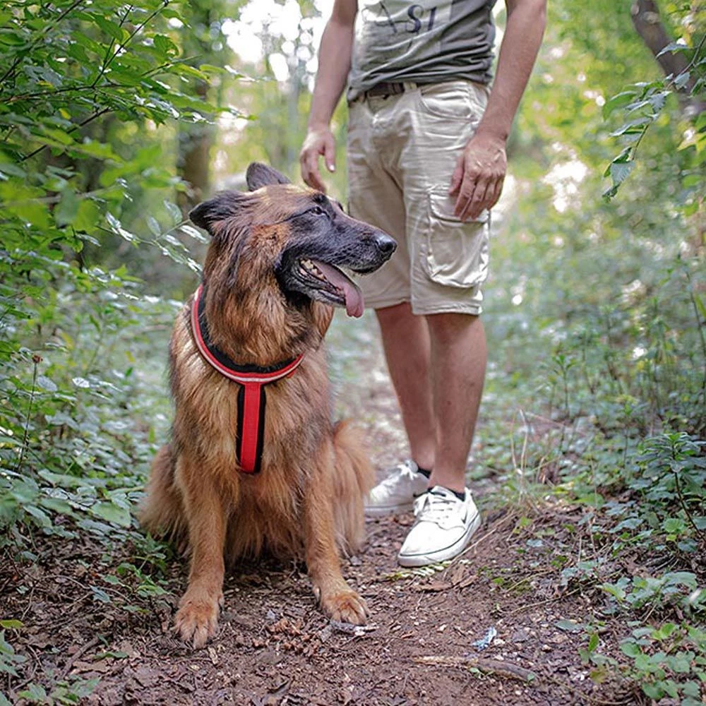 Ferplast DAYTONA P CROSS Alle Anzeigen 40 Ferplast DAYTONA P CROSS Alle Anzeigen