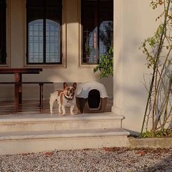 Ferplast Alle Anzeigen KENNY 34 Ferplast Alle Anzeigen KENNY