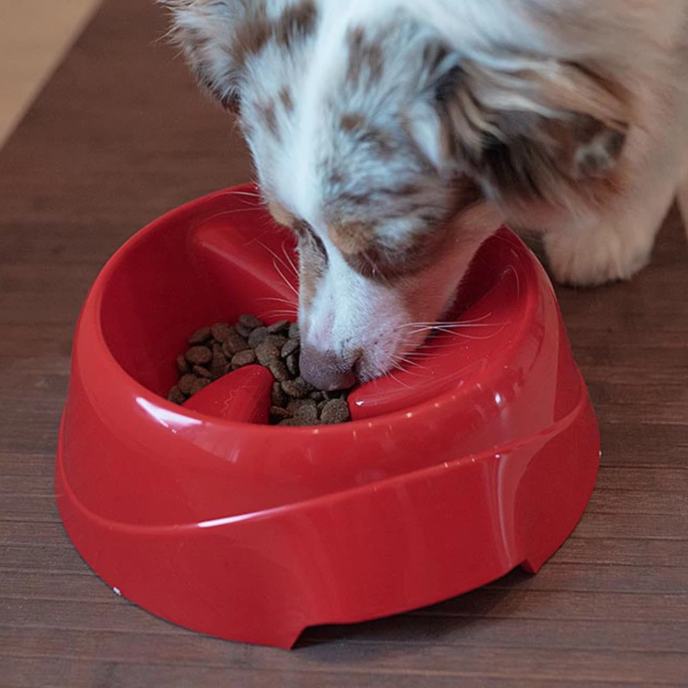 Ferplast MAGNUS SLOW Alle Anzeigen 18 Ferplast MAGNUS SLOW Alle Anzeigen