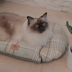 Ferplast Alle Anzeigen SCOTT