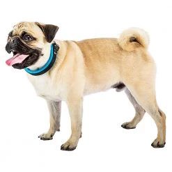 Ferplast Alle Anzeigen ERGOFLUO C