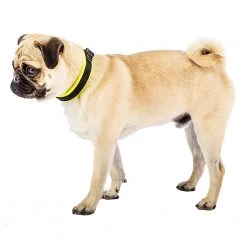 Ferplast Alle Anzeigen ERGOFLUO C