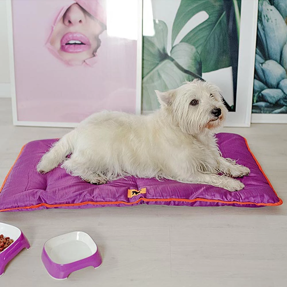 Ferplast Alle Anzeigen JOLLY 11 Ferplast Alle Anzeigen JOLLY