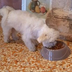 Ferplast MAGNUS SLOW Alle Anzeigen 23 Ferplast MAGNUS SLOW Alle Anzeigen