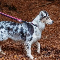 Ferplast Alle Anzeigen ERGOFLUO GA