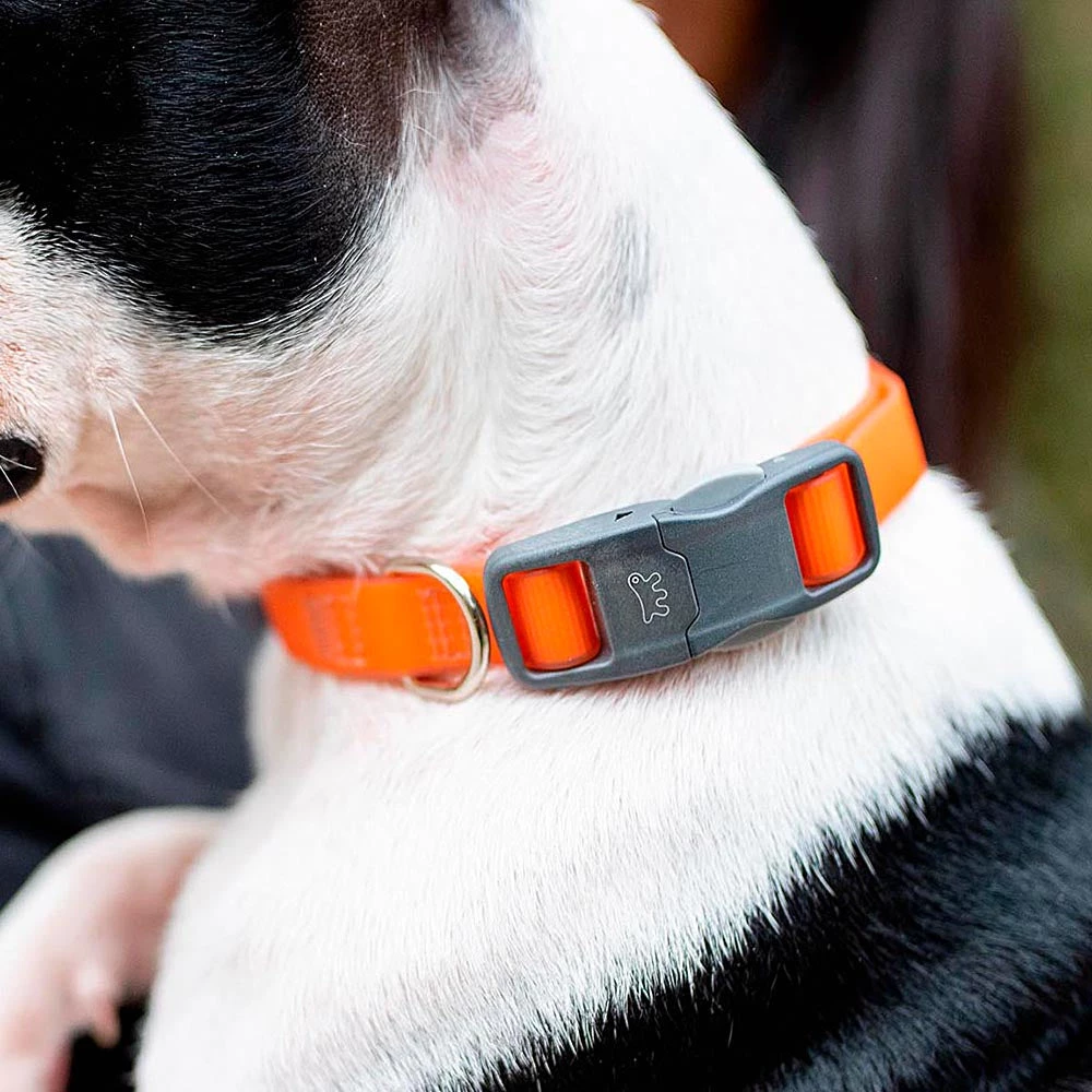 Ferplast Alle Anzeigen EVOLUTION C 25 Ferplast Alle Anzeigen EVOLUTION C