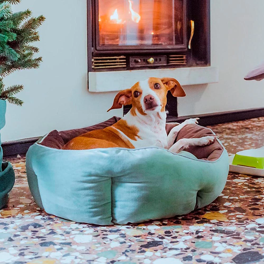 Ferplast QUEEN 13 Ferplast QUEEN