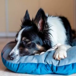 Ferplast STUART Alle Anzeigen 52 Ferplast STUART Alle Anzeigen