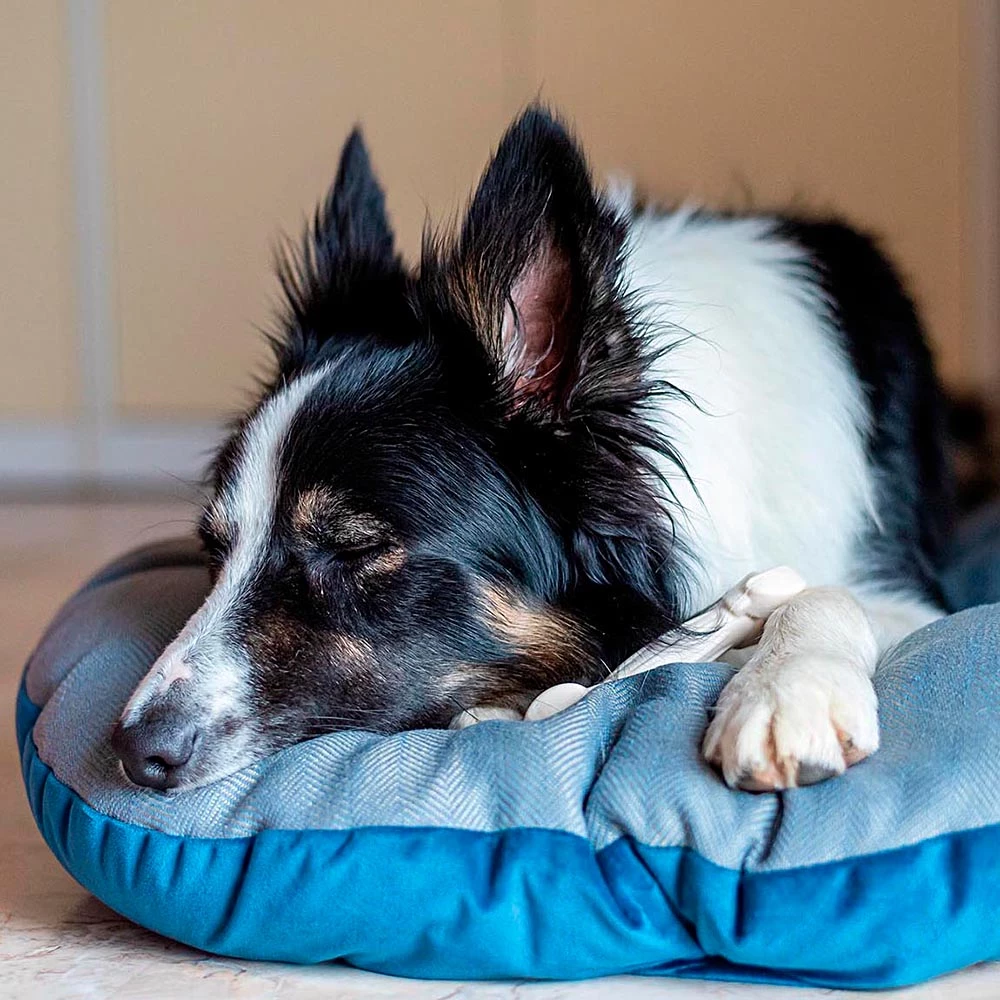 Ferplast STUART Alle Anzeigen 23 Ferplast STUART Alle Anzeigen