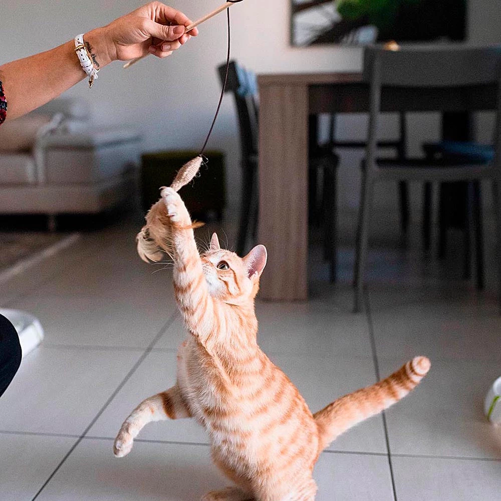 Ferplast Spielzeug PA 4998 Alle Anzeigen 4 Ferplast Spielzeug PA 4998 Alle Anzeigen