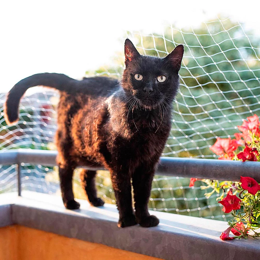 Ferplast CAT NET Alle Anzeigen 4 Ferplast CAT NET Alle Anzeigen