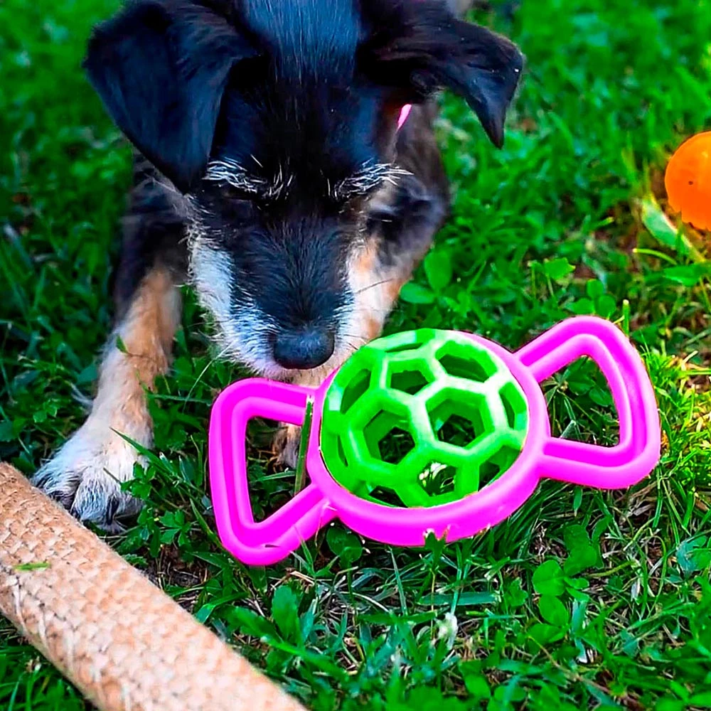 Ferplast Spielzeug PA 6350 Alle Anzeigen 7 Ferplast Spielzeug PA 6350 Alle Anzeigen