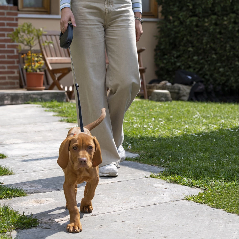 Ferplast FLIPPY ONE CORD Alle Anzeigen 39 Ferplast FLIPPY ONE CORD Alle Anzeigen