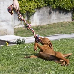 Ferplast Alle Anzeigen Spielzeug PA 6524