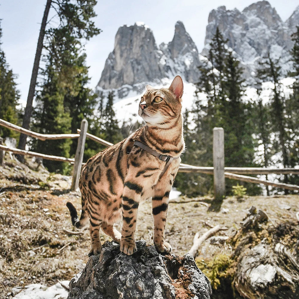 Ferplast EASY P Alle Anzeigen 11 Ferplast EASY P Alle Anzeigen