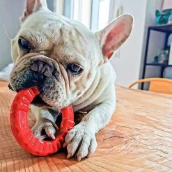 Ferplast SMILE Alle Anzeigen 39 Ferplast SMILE Alle Anzeigen