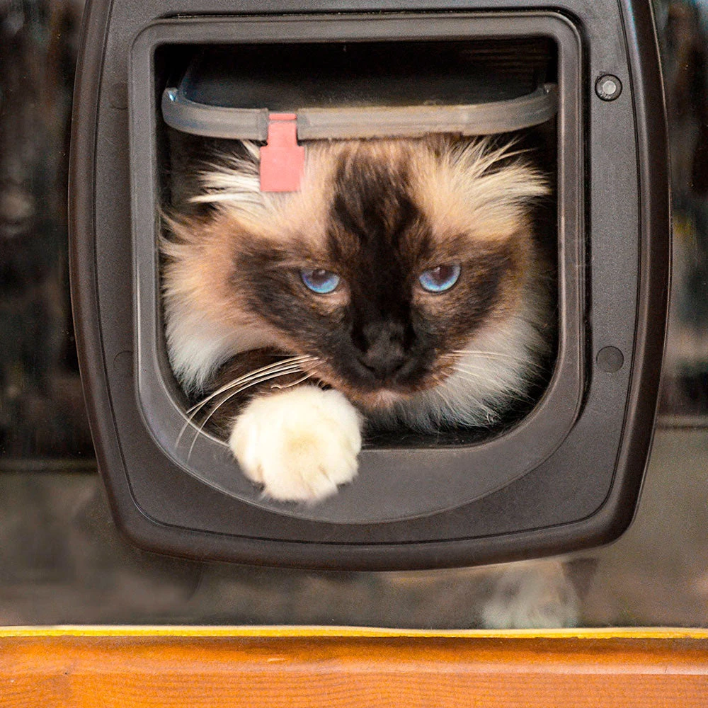 Ferplast Alle Anzeigen SWING MICROCHIP 6 Ferplast Alle Anzeigen SWING MICROCHIP