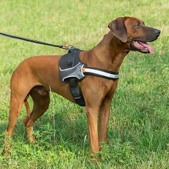 Ferplast HERCULES P M 35 Ferplast HERCULES P M