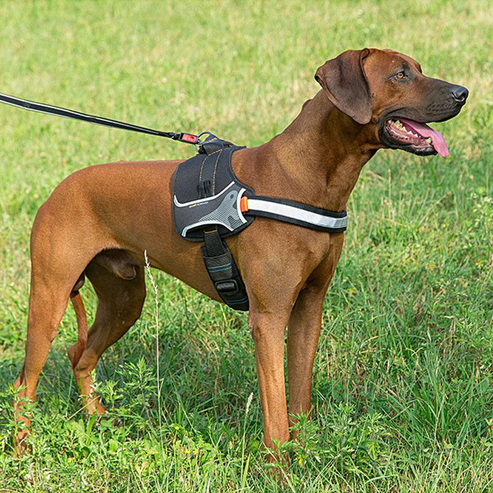 Ferplast HERCULES P M 6 Ferplast HERCULES P M