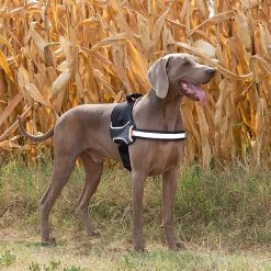 Ferplast Alle Anzeigen HERCULES P L