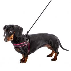 Ferplast AGILA FLUO 3-9