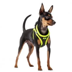 Ferplast KAORI P Alle Anzeigen 49 Ferplast KAORI P Alle Anzeigen