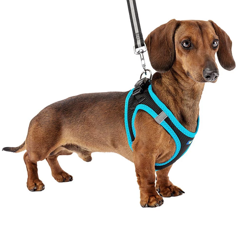 Ferplast KAORI P Alle Anzeigen 27 Ferplast KAORI P Alle Anzeigen