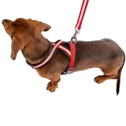 Ferplast DAYTONA P CROSS Alle Anzeigen 66 Ferplast DAYTONA P CROSS Alle Anzeigen