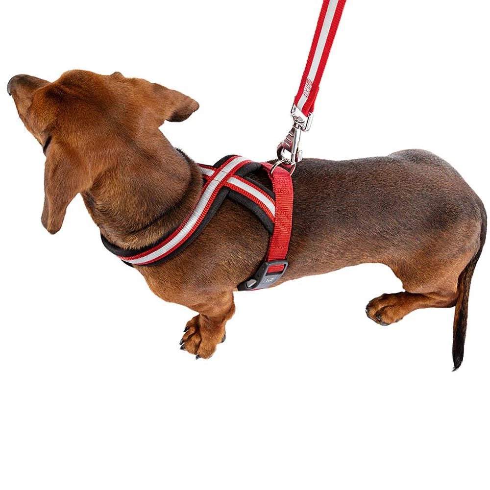 Ferplast DAYTONA P CROSS Alle Anzeigen 21 Ferplast DAYTONA P CROSS Alle Anzeigen