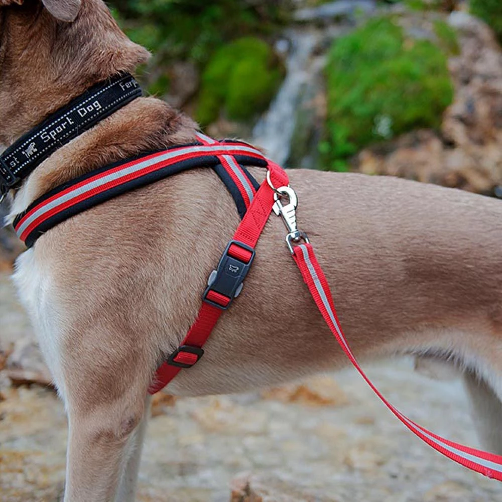 Ferplast DAYTONA P CROSS Alle Anzeigen 34 Ferplast DAYTONA P CROSS Alle Anzeigen